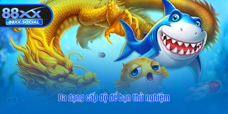 Đa dạng cấp độ để bạn thử nghiệm