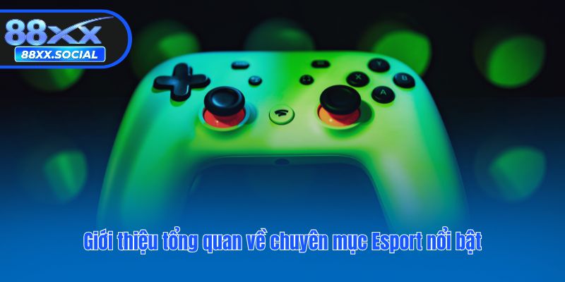 Giới thiệu tổng quan về chuyên mục Esport nổi bật
